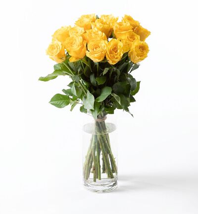 15 gule roser